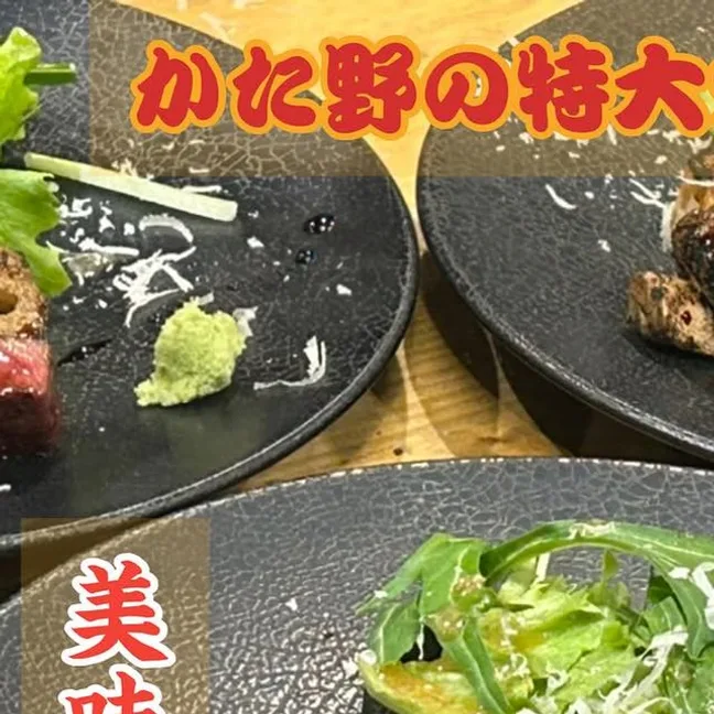 かた野の肉料理